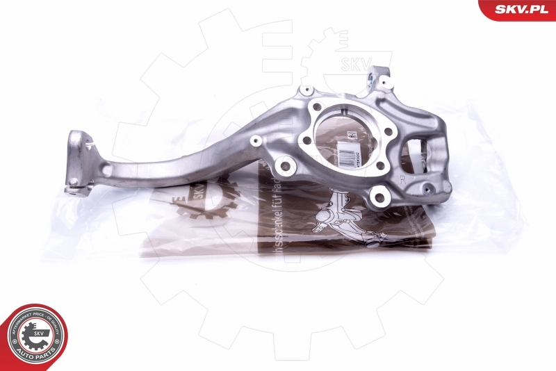 Steering Knuckle, wheel suspension